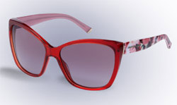 Lunettes D & G